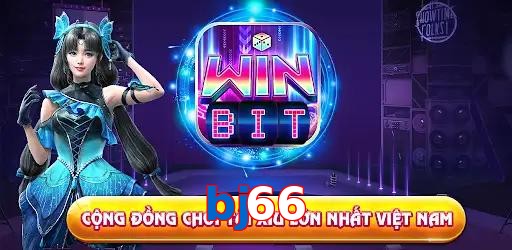bj66