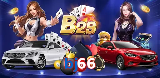 bj66