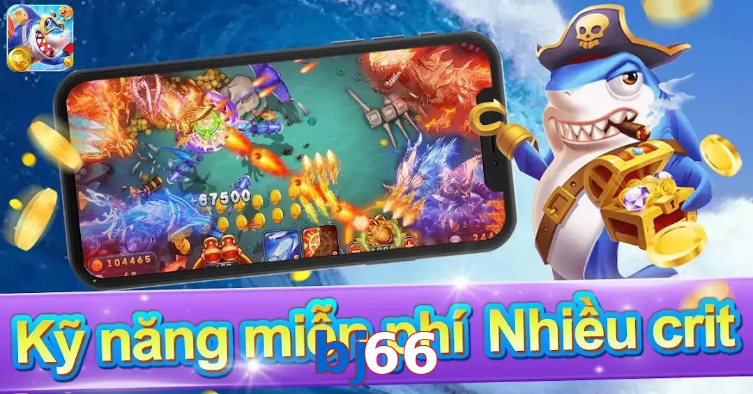 bj66