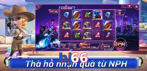 bj66